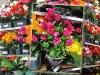 grossiste, destockage Palettes fleurs artificielles 