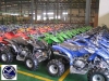 Quads can-am, yamaha, suzuki et kawasaki