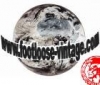grossiste, destockage Grossiste Tee shirts de marque ...
