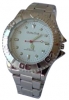 grossiste, destockage 10 superbes montres homme Carl ...