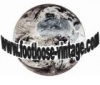 grossiste, destockage Destockeur Tee shirts DIESEL h ...
